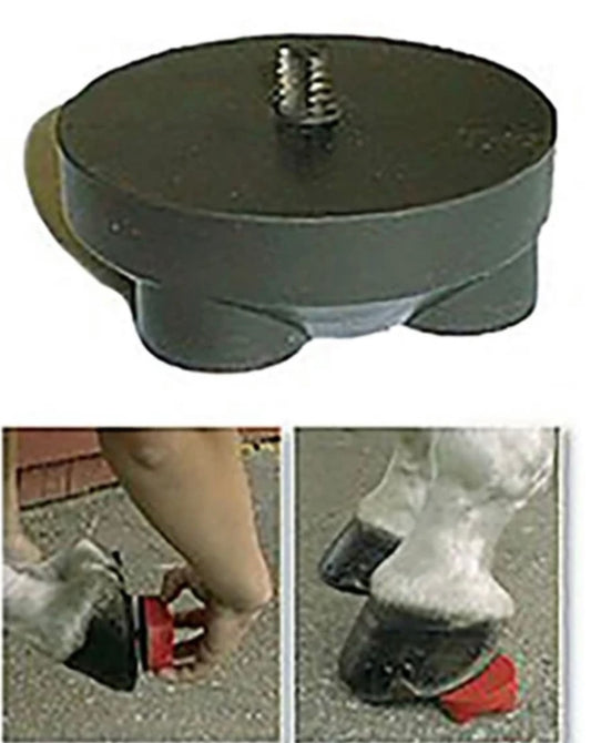 Nunn Finer safety soon yee tap