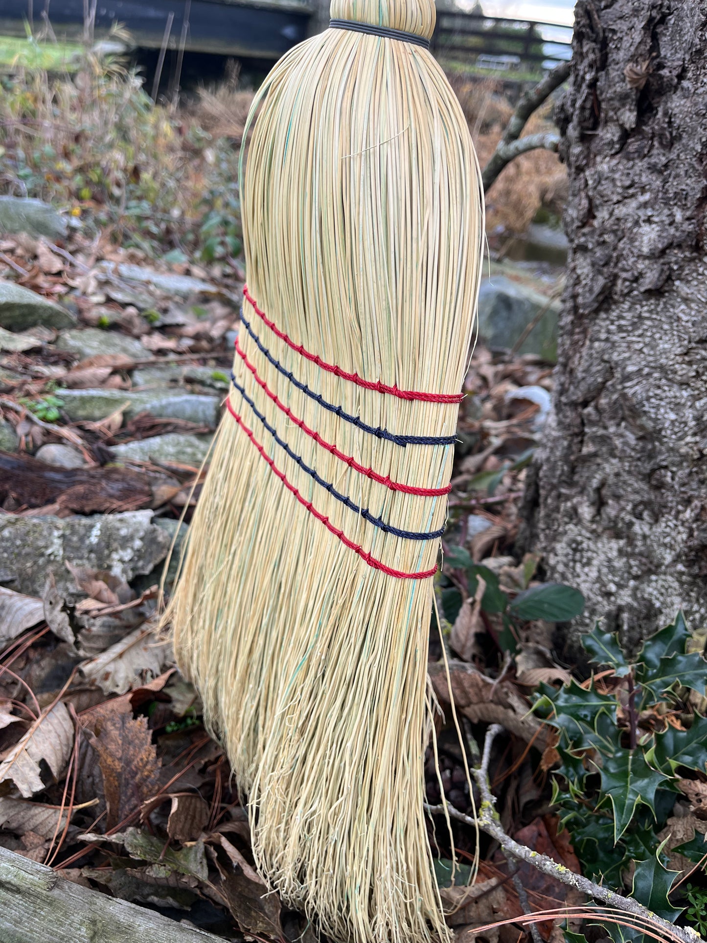 Broom,