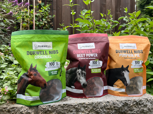 DURWELL EQUINE NATURALS Nibs Horse Treats: Beet, Pumpkin Pie and Original Power (no sugar added)
