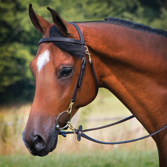 Premier Arabian Training Bridle