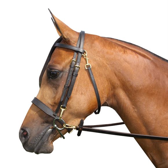 Premier Straight Nose Training Caveson