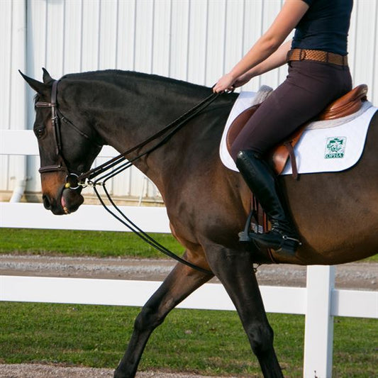 Dura-Tech® Sliding Snap Rope Draw Reins