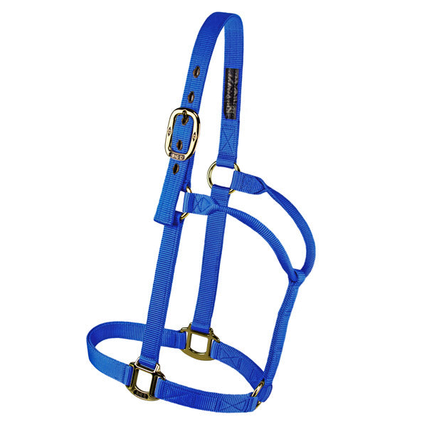 Big D - Nylon Halter 7+ colours