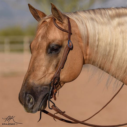 Billy Royal® Oiled Hermann Oak Leather Rolled One Ear Headstall