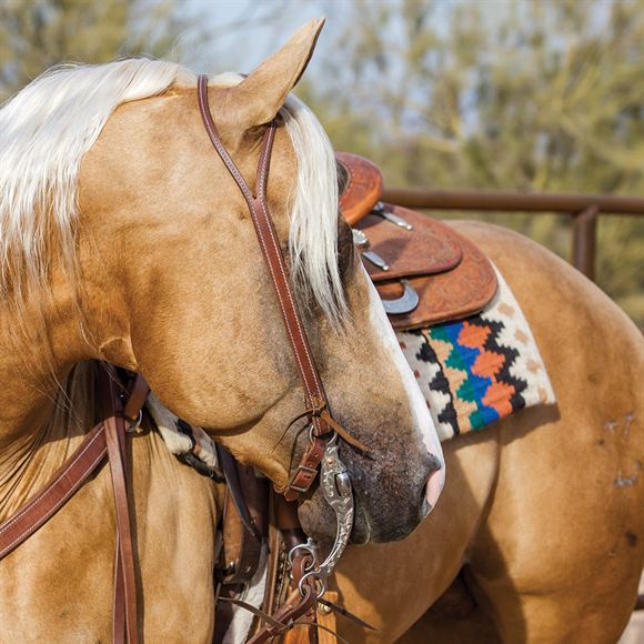 Billy Royal® Oiled Hermann Oak Split Ear Headstall with Horseshoe Brand Buckle