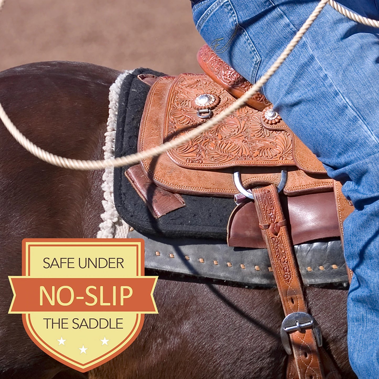 Santa Fe™ Coat Conditioner & Sunscreen