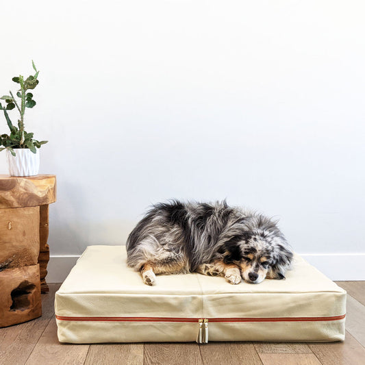 Le Bed- Leather Dog Bed