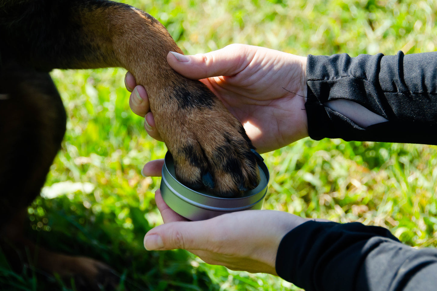 Equus Soap Co. K9 Paw Wax