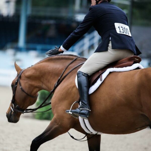 ECO GOLD- SECURE HUNTER SADDLE PAD