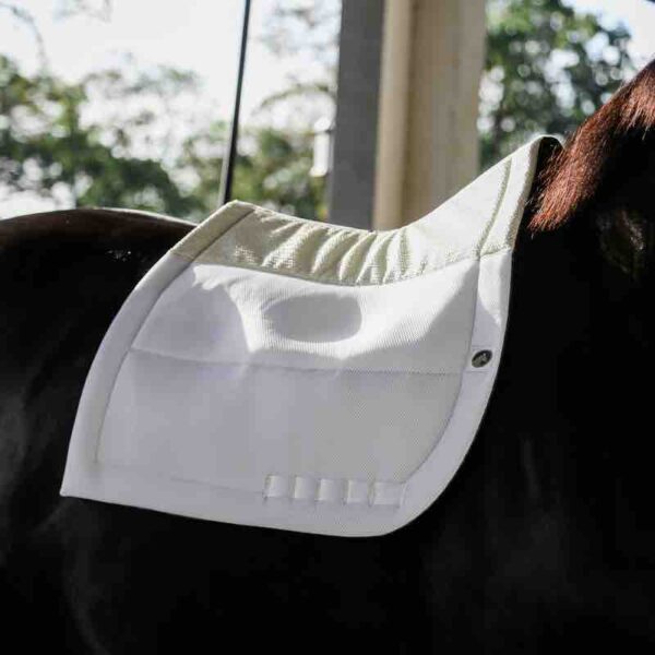 ECO GOLD-Secure Dressage Pad