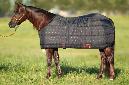 Big D - Blanket Liner 200G