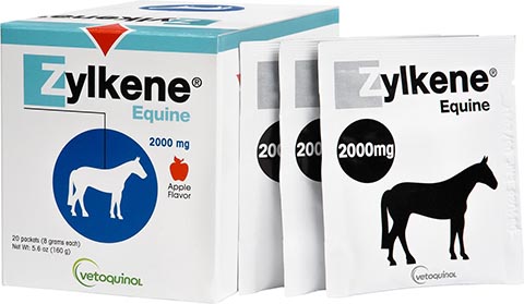 ZYLKENE® EQUINE