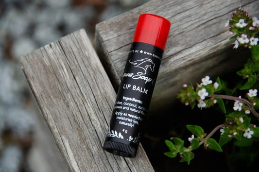 Equus Soap Co. Chocolate Cherry Lip Balm