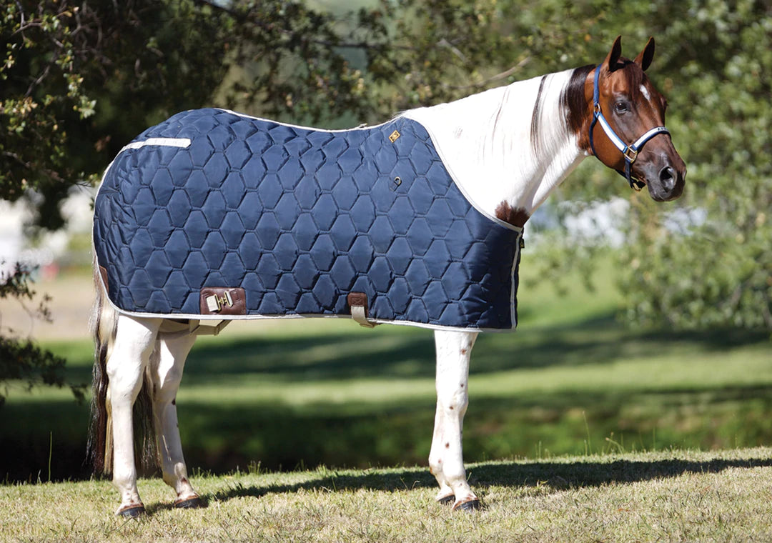 Big D- All American Stable Blanket