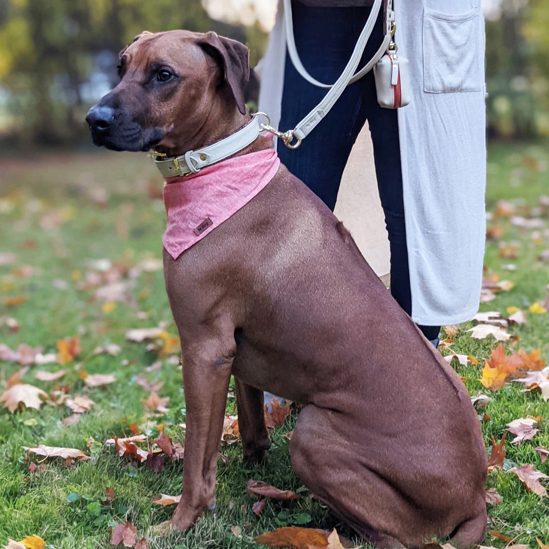 Leather poop bag holder