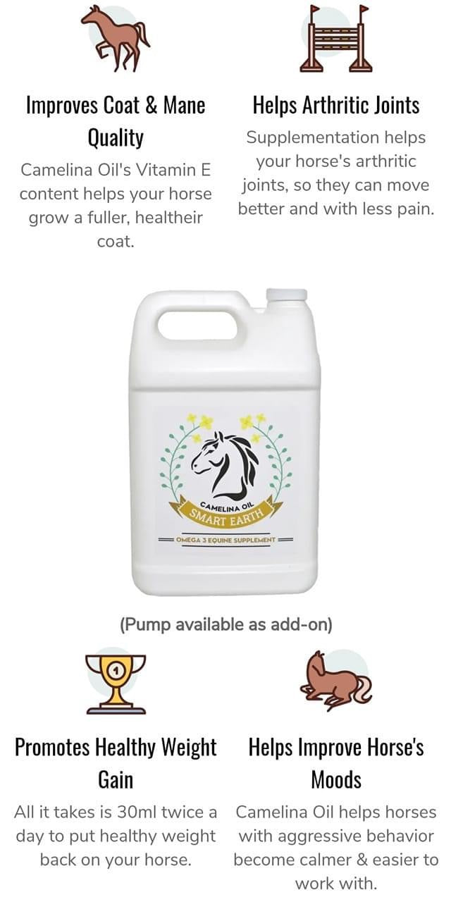 Smart Earth Camelina Oil 3.78L