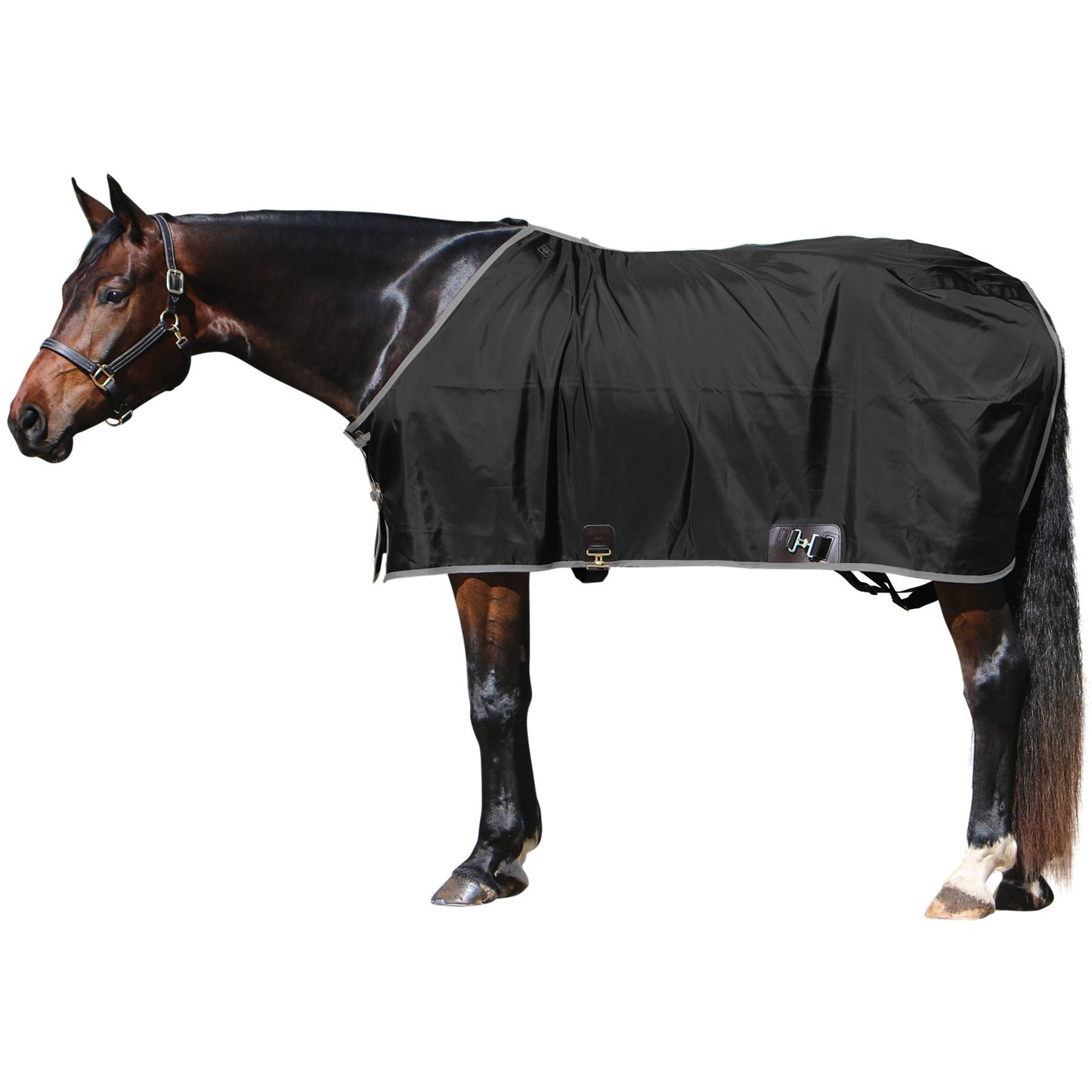 Big D - Nylon Sheet