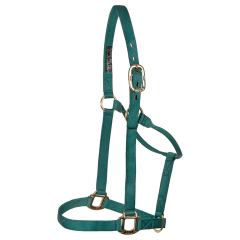 Big D - Nylon Halter 7+ colours