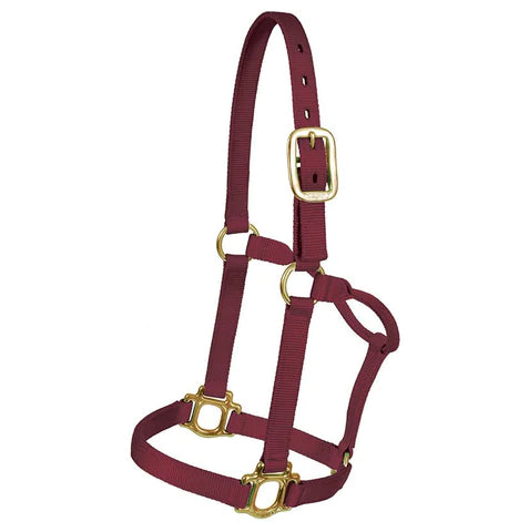 Big D - Nylon Halter 7+ colours