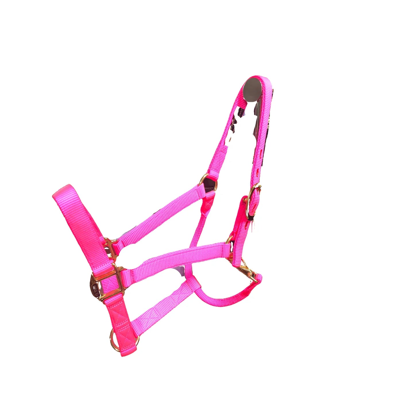 Big D - Nylon Halter 7+ colours