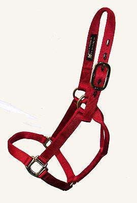 Big D - Nylon Halter 7+ colours
