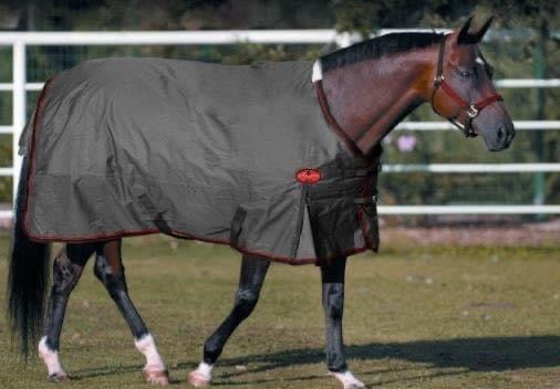 Big D - Sussex Turnout Blanket 600D 240G