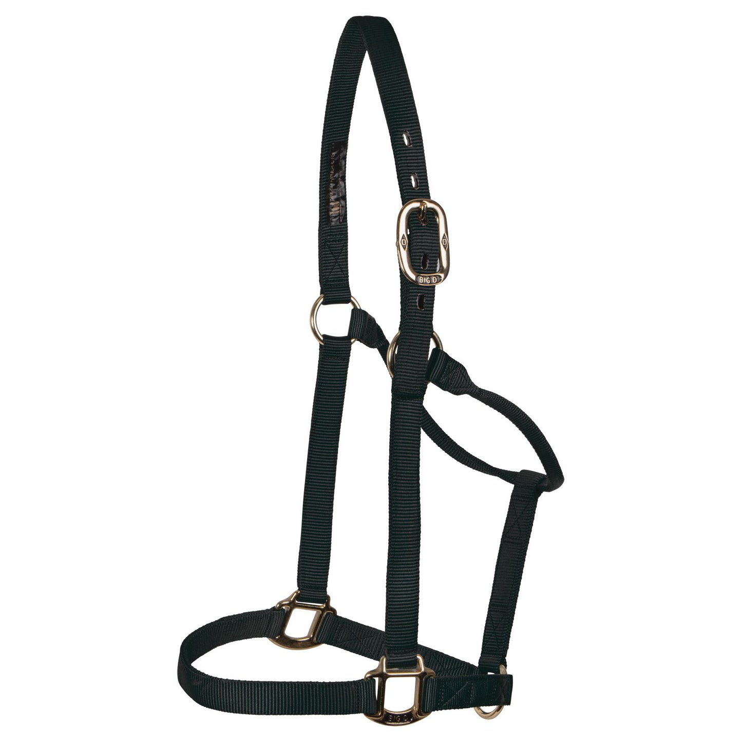Big D - Nylon Halter 7+ colours
