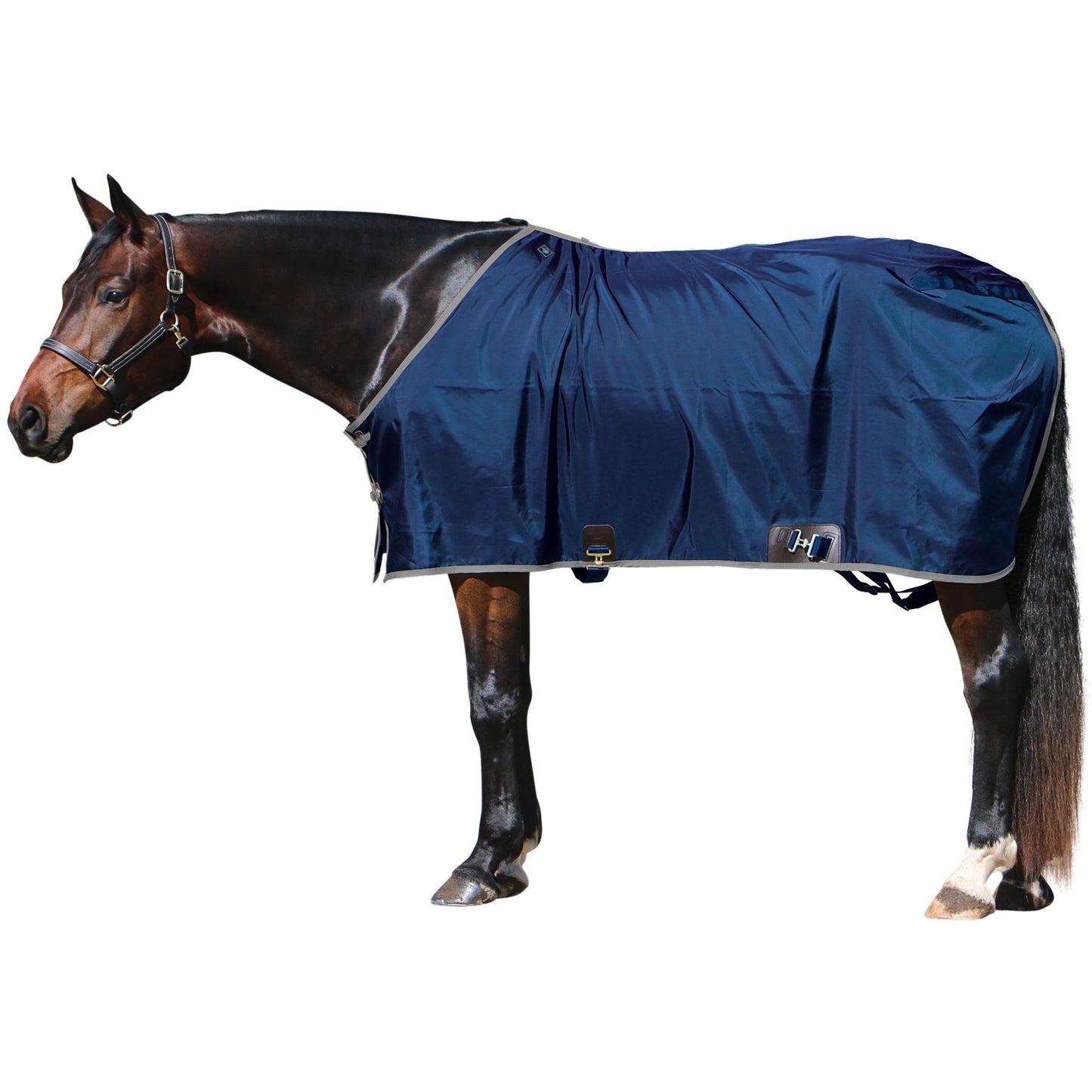 Big D - Nylon Sheet