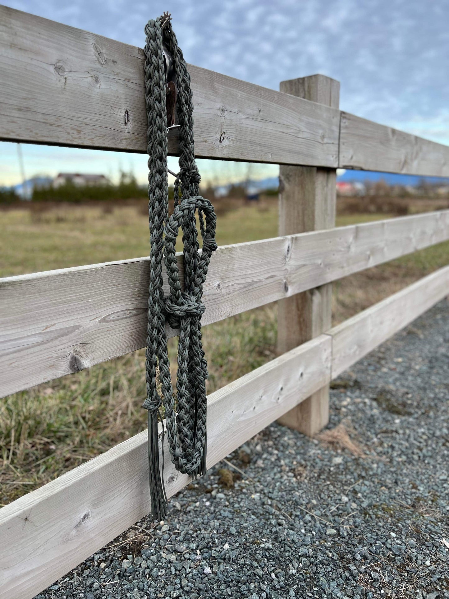 Loping Hackamore-Green