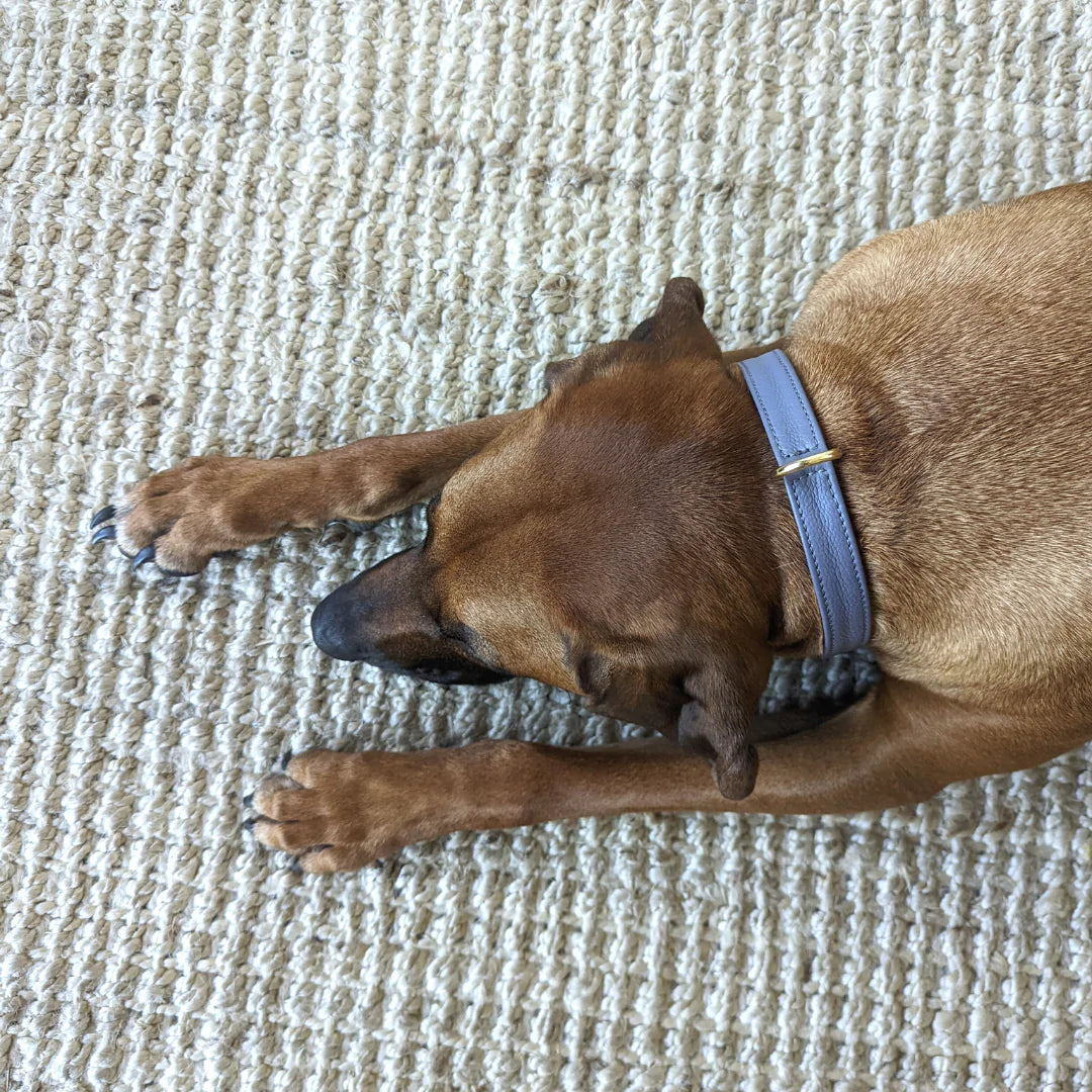 Skinny Leather Collar