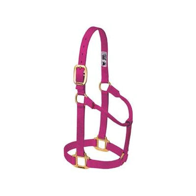 Big D - Nylon Halter 7+ colours