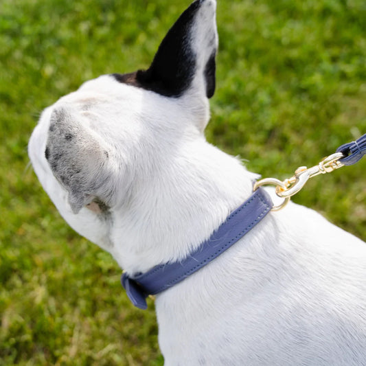 Skinny Leather Collar