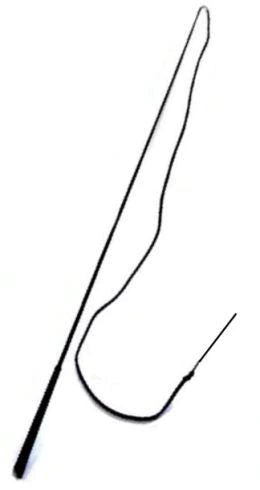Picador Lunge whip