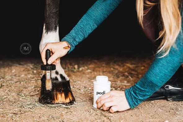 The Infused Equestrian-pedi. A Hoof Conditioner