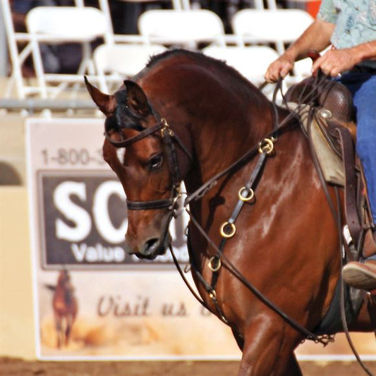 Billy Royal® 10 Ring Training Martingale