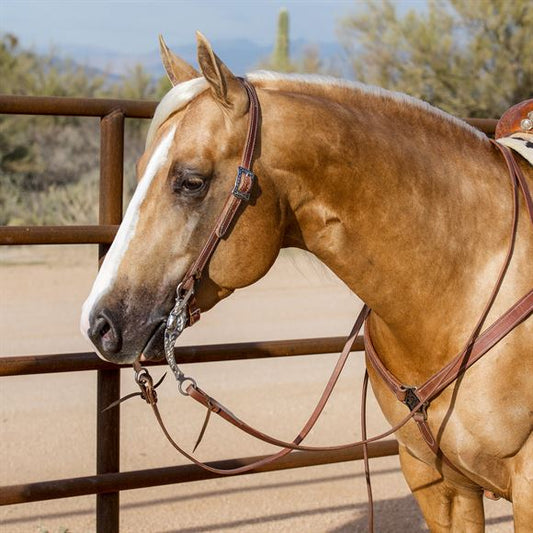 Billy Royal® Oiled Hermann Oak Split Ear Headstall with Horseshoe Brand Buckle