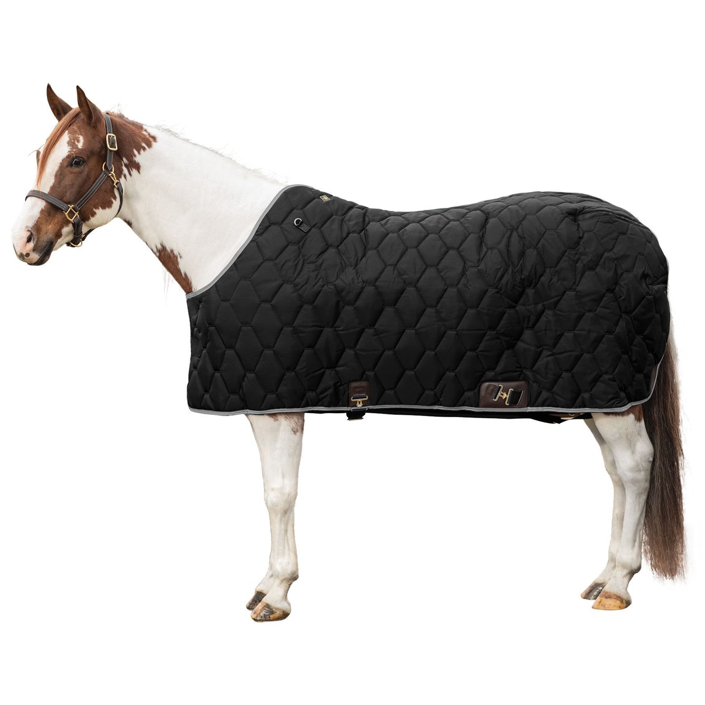 Big D- Closed Front All American Stable Blanket