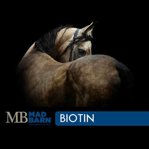 MADBARN- BIOTIN 0.5% FP - 1 KG