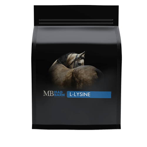 MADBARN- L-LYSINE 1KG