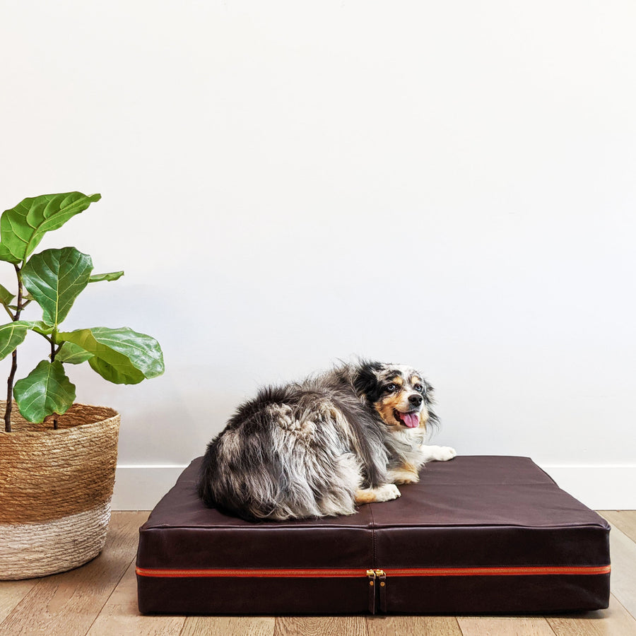 Le Bed- Leather Dog Bed