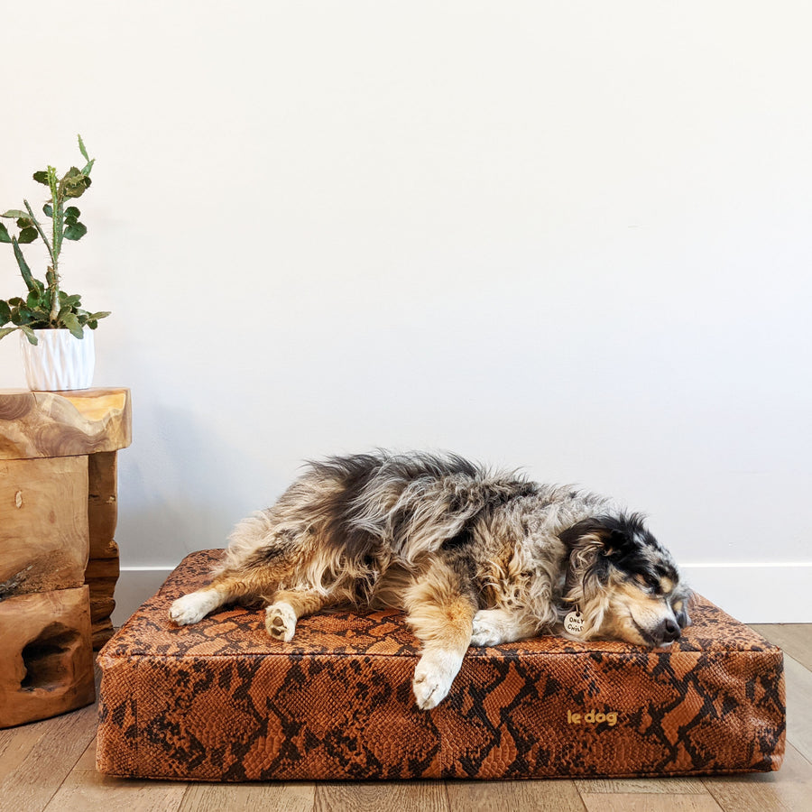 Le Bed Python Print- Leather Dog Bed