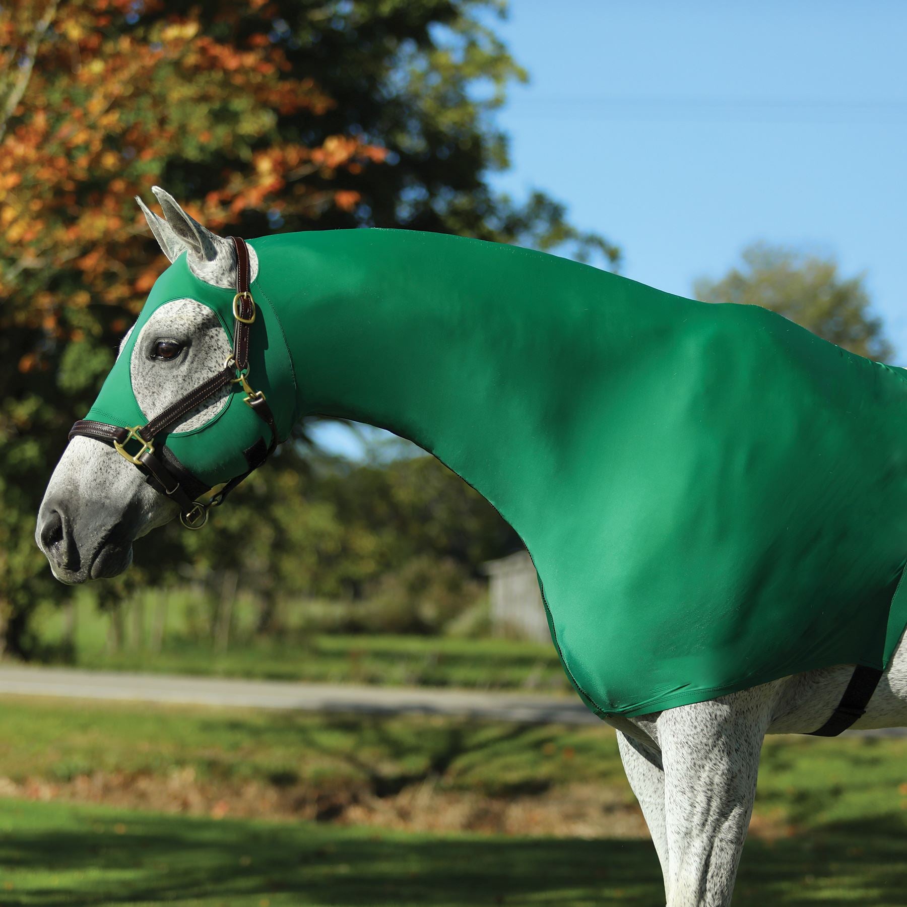 UltraFlex® Slickers – DixonSaddlery