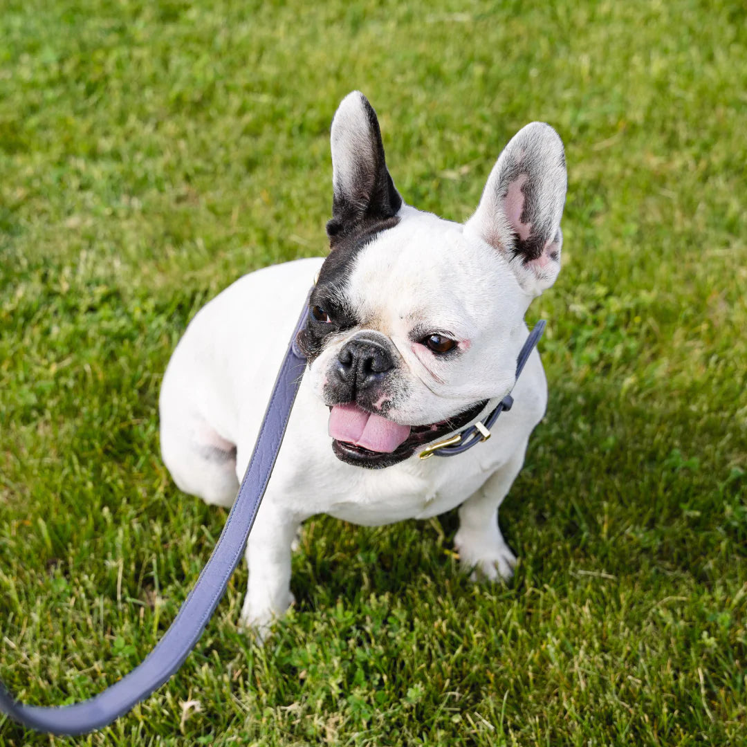 Skinny leather leash