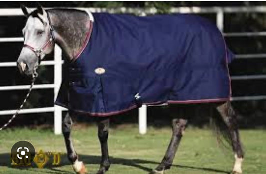 Big D - Devlyn Heavy Winter Blanket 300G