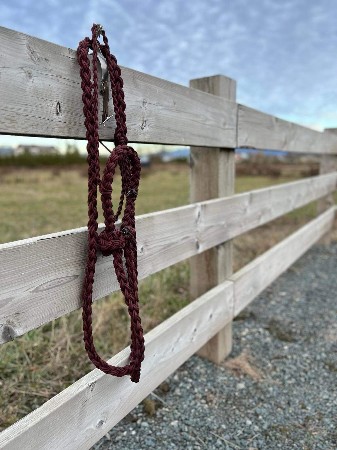 Loping Hackamore-Burgundy