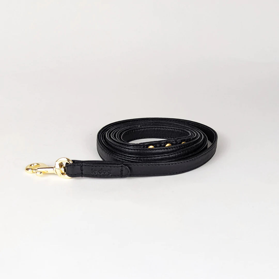 Skinny leather leash