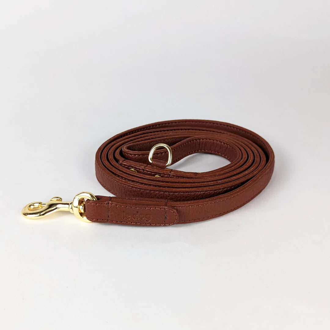 Skinny leather leash