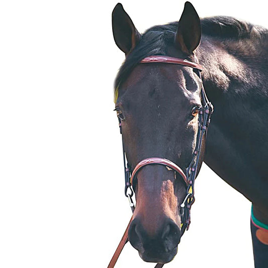 HDR ADVANTAGE RAISED FANCY STITCHED BRIDLE WITH LACED REINS