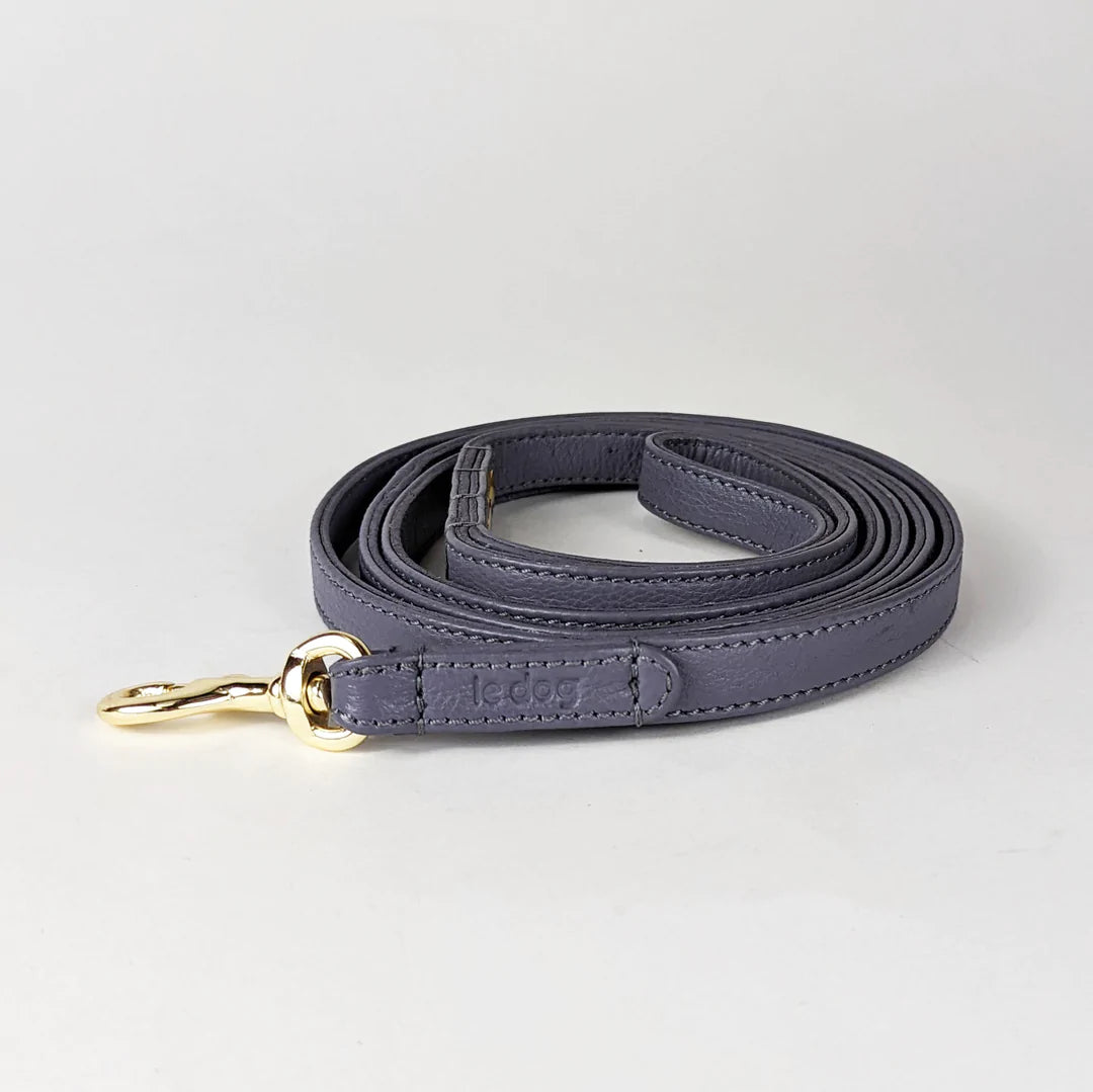 Skinny leather leash