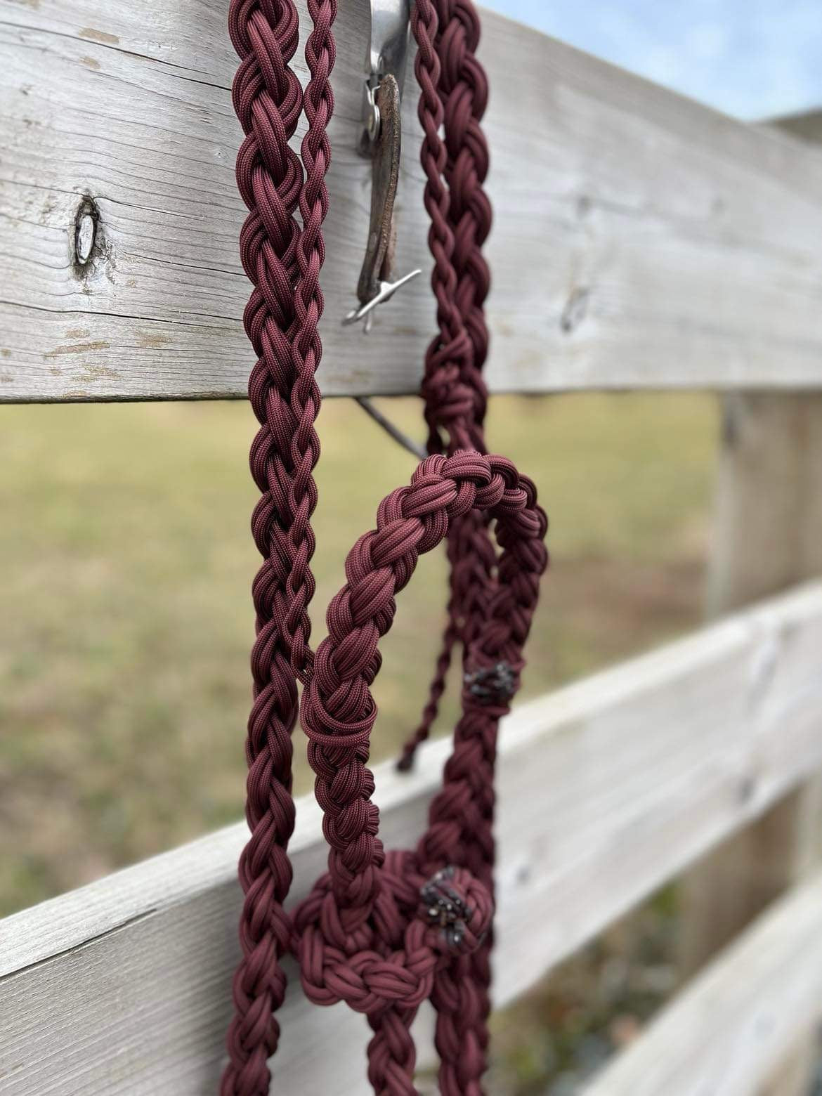 Loping Hackamore-Burgundy